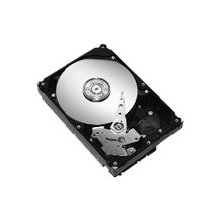 SEAGATE ST3160815A BARRACUDA 160 GB INTERNAL HARD DRIVE 100 MBPS 7200 RPM